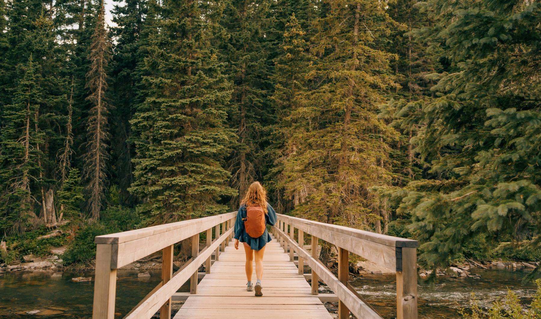 a person walking on a wooden bridge